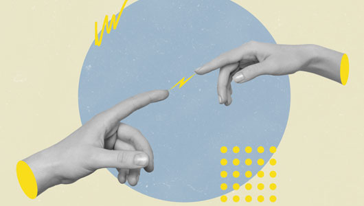 What Is the Bristle Reaction?