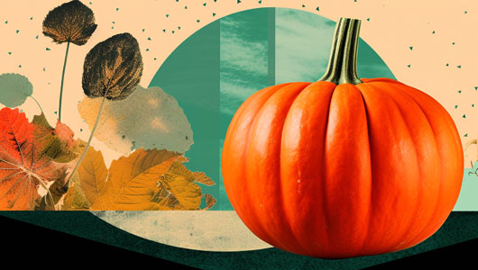 Best Sex Toys For Halloween