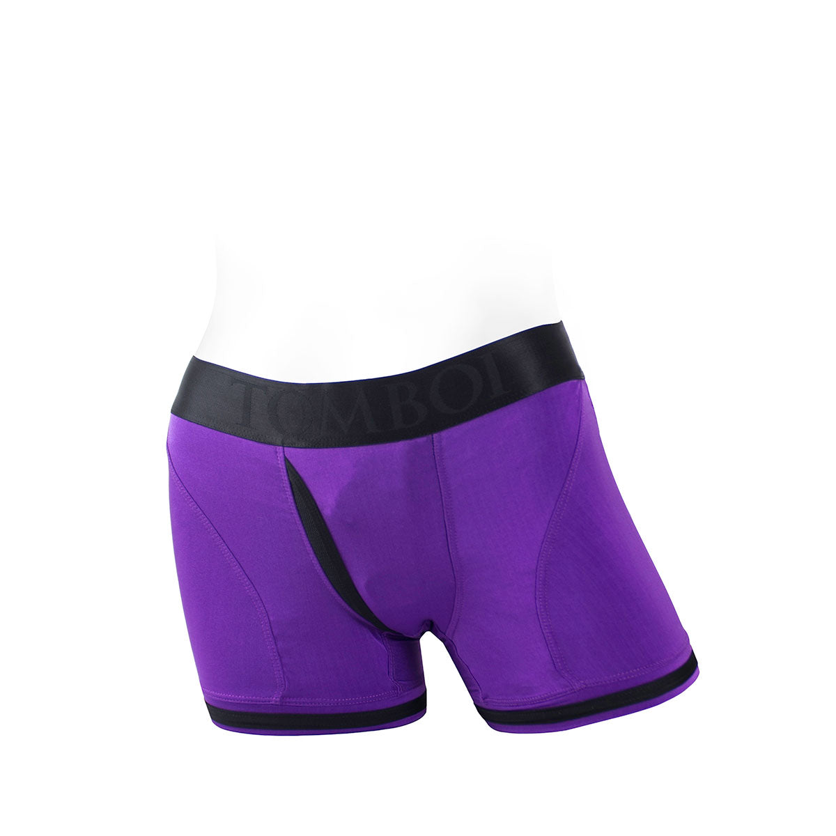 SpareParts Tomboii Purple Briefs