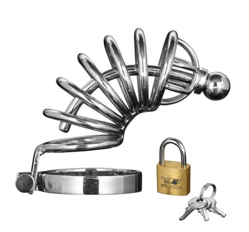 Asylum Stainless Steel Locking Cock Cage