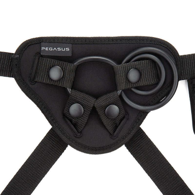 Pegasus Curved Wave Harness Kit